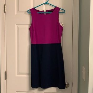 Fushia & Navy dress. Sleeveless. Size Medium. NWT